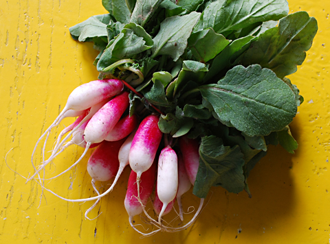 French-radishes